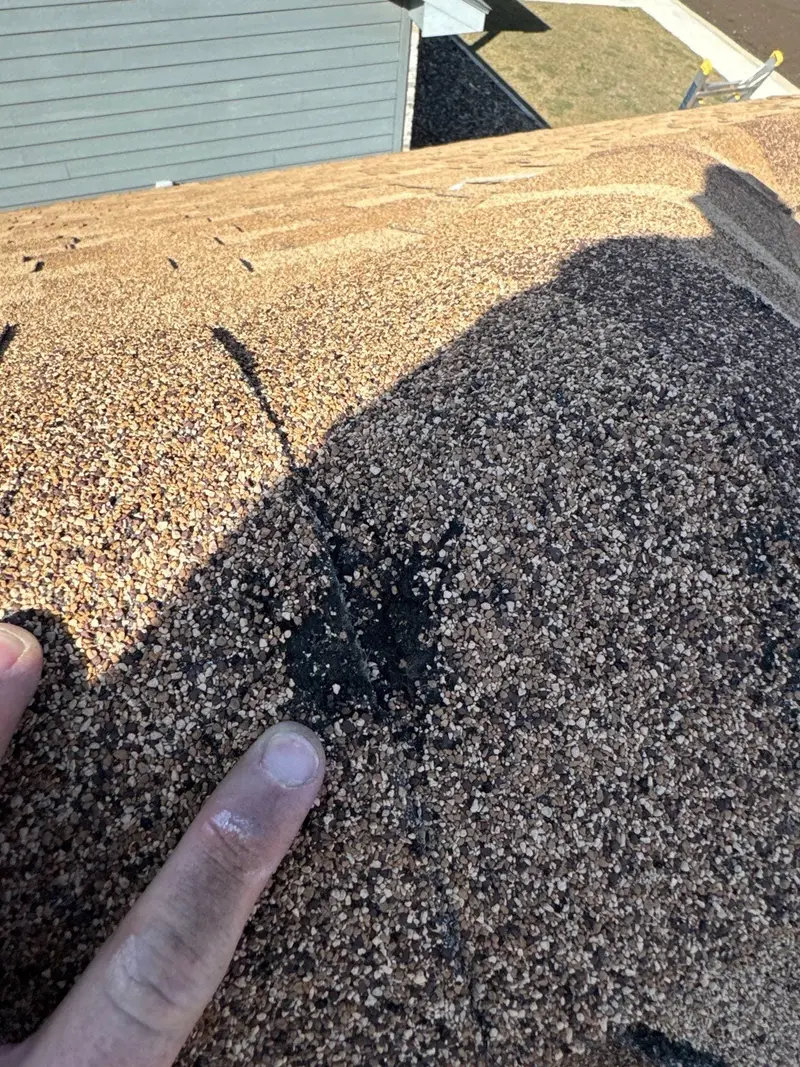 Granule loss and bruising on an asphalt shingle — the kind of hail damage that isn't obvious from the ground until it starts to leak.