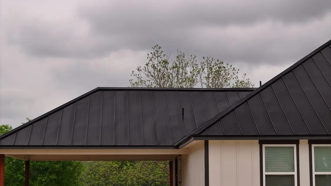 A black factory-color standing seam metal roof on a Texas home