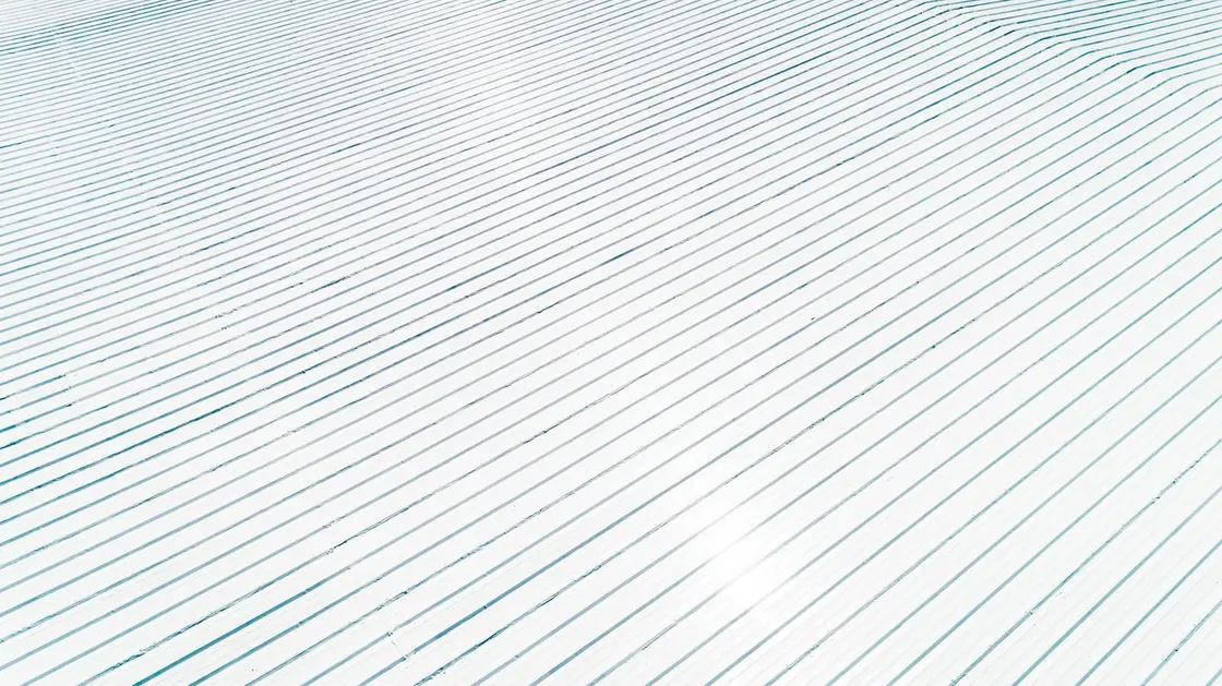 Close-up of heat-welded single-ply membrane seams on a flat commercial roof in Texas