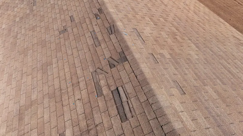 Hail bruising along a shingle ridge — the softened mat that fails weeks later, photographed the way a Crossroads storm claim needs to see it.