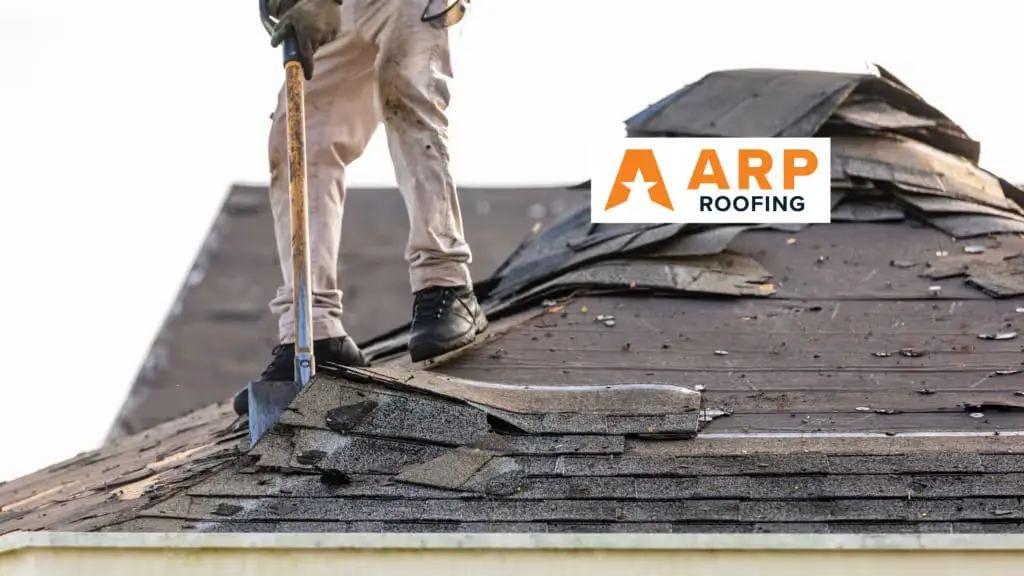 A roofer tearing off hail-damaged asphalt shingles as part of a full roof replacement