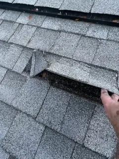 A section of asphalt shingle roof with a few wind-lifted and curled shingles isolated to one area