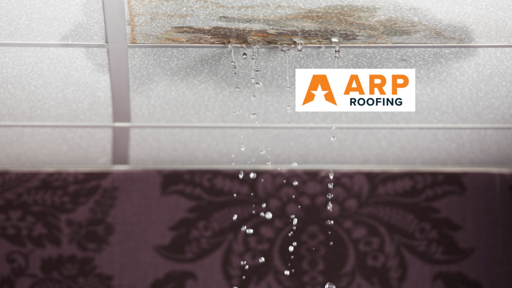 How to Spot and Fix Roof Leaks During Winter